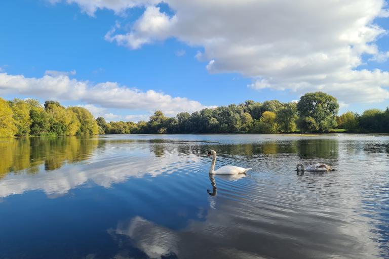 Emberton Country Park