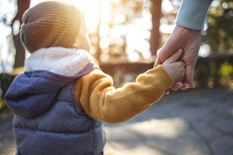 Little boy holding hands with adult